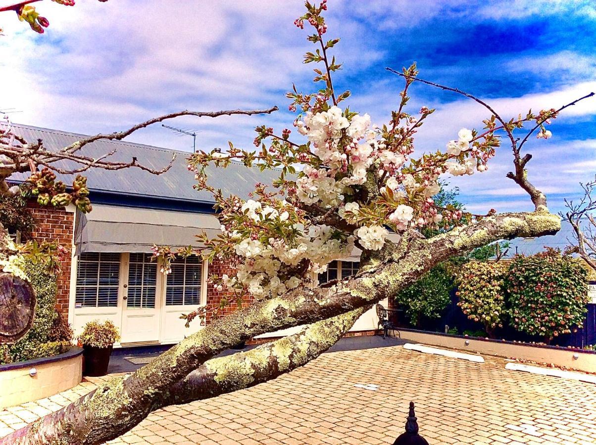 Kurrajong House Bed and Breakfast Launceston Buitenkant foto